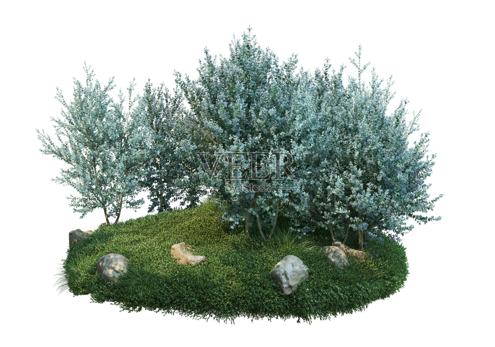 三维渲染岛屿在白色背景上照片摄影图片