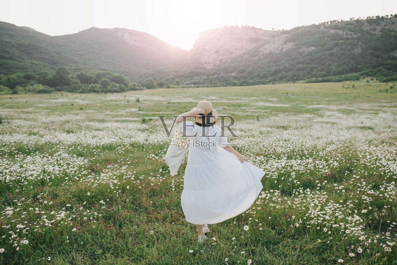 年轻女子穿着白色连衣裙，拿着棉花袋与鲜花在甘菊田。照片摄影图片