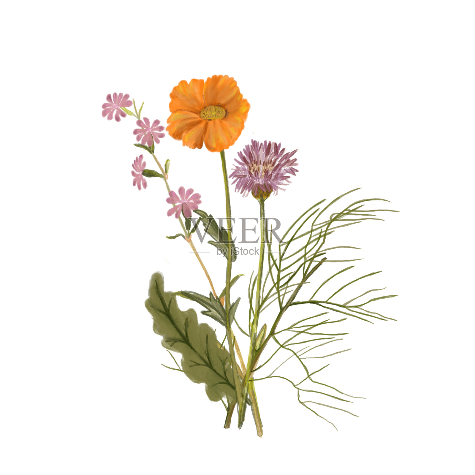 带有野花和叶子的花束。织物设计的复古插图。树叶插图。时尚的花设计元素图片