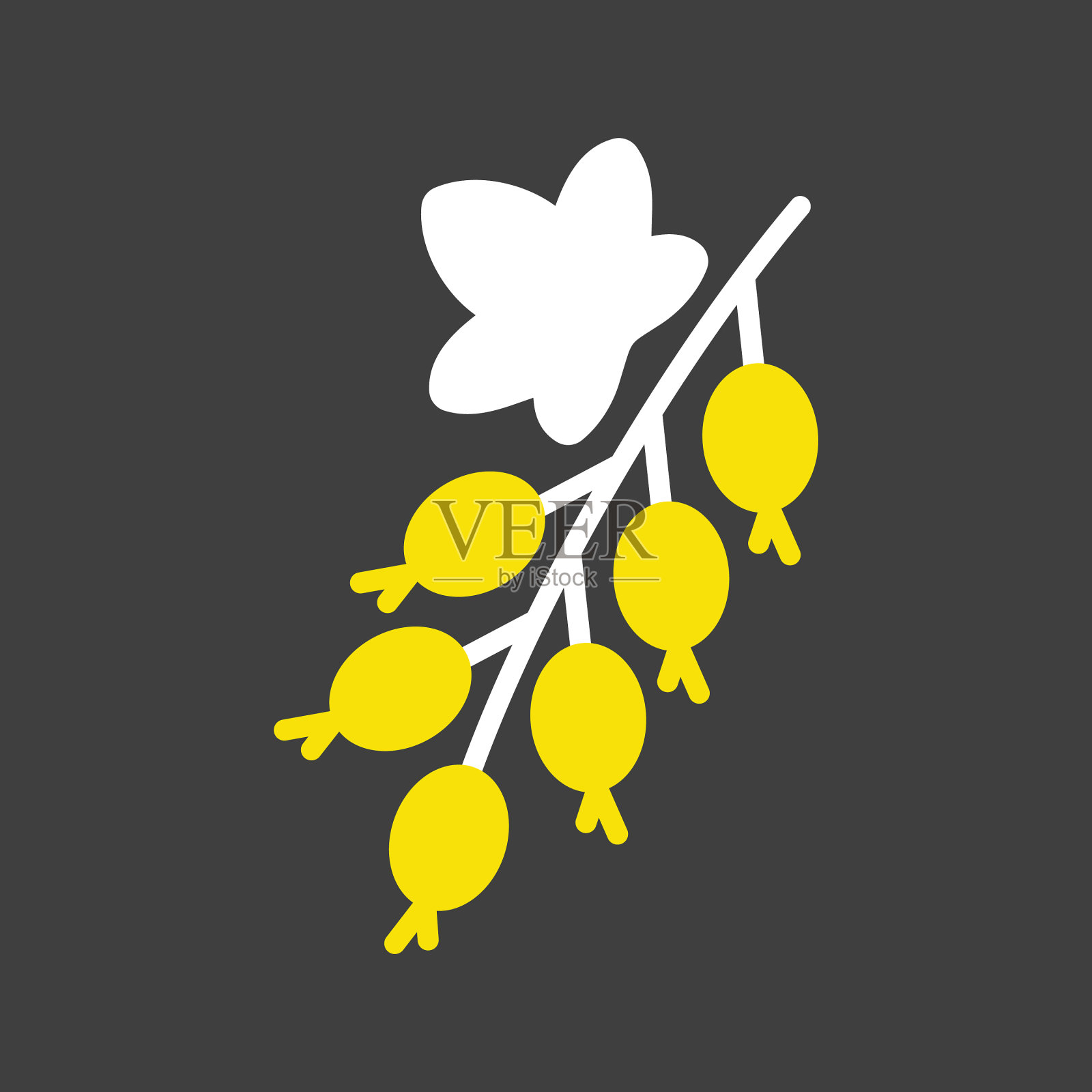 黑醋栗浆果符号的背景图标插画图片素材