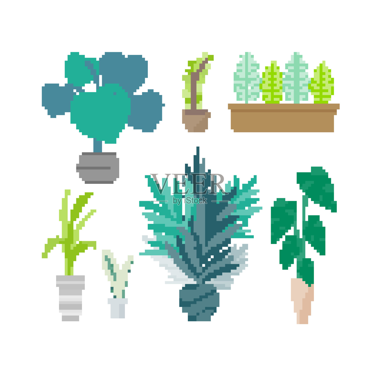 观叶植物插画图片素材