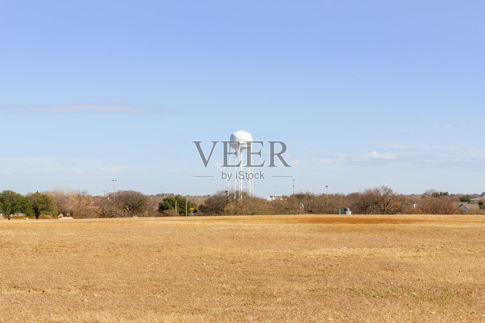 秋天，树上没有叶子，许多树木与森林树木、绿色的草坪和灌木丛交织在一起。照片摄影图片