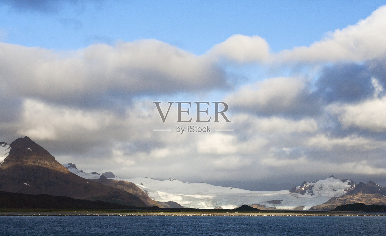 南乔治亚州的索尔兹伯里平原照片摄影图片