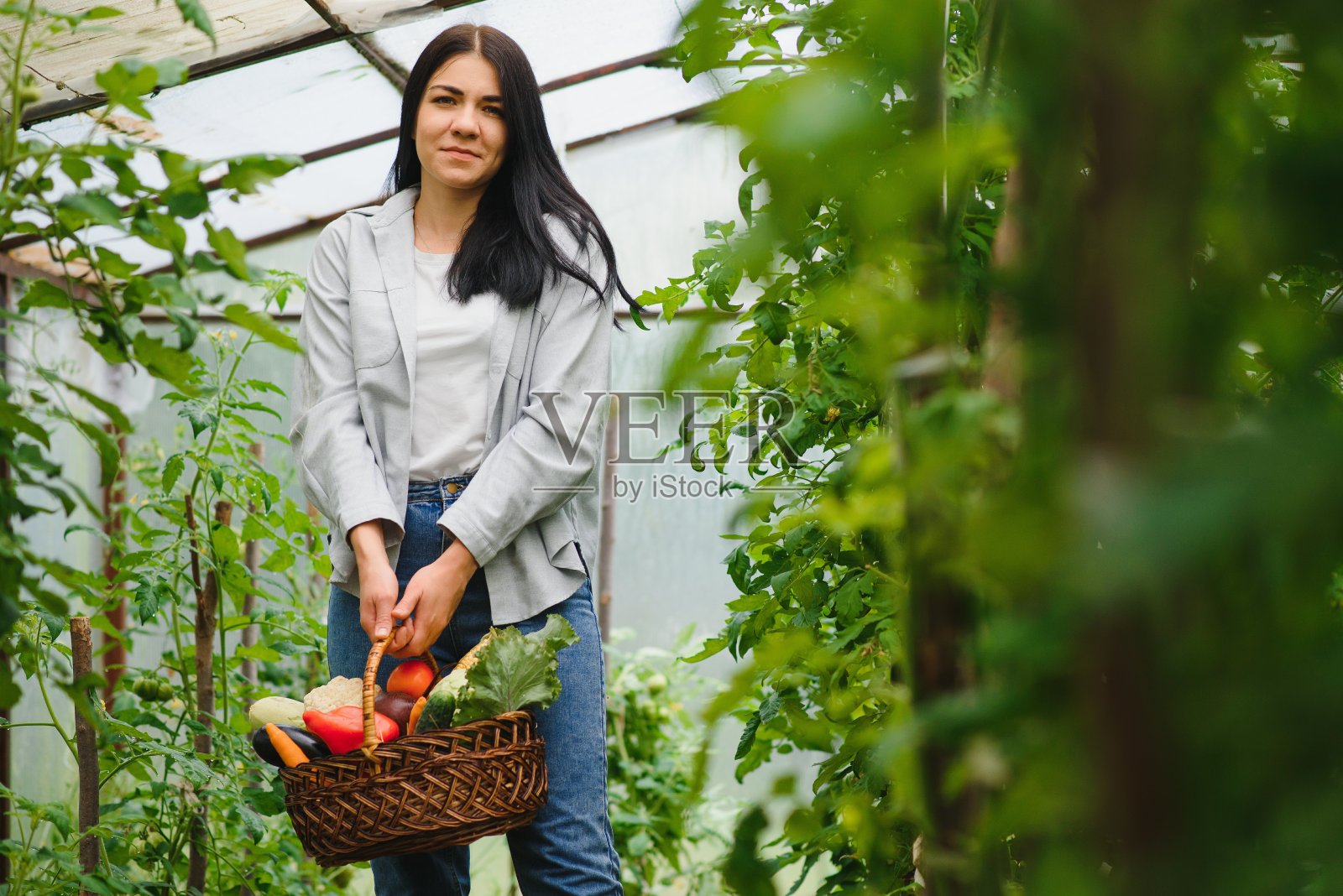 一个年轻迷人的女人在温室里收获蔬菜照片摄影图片