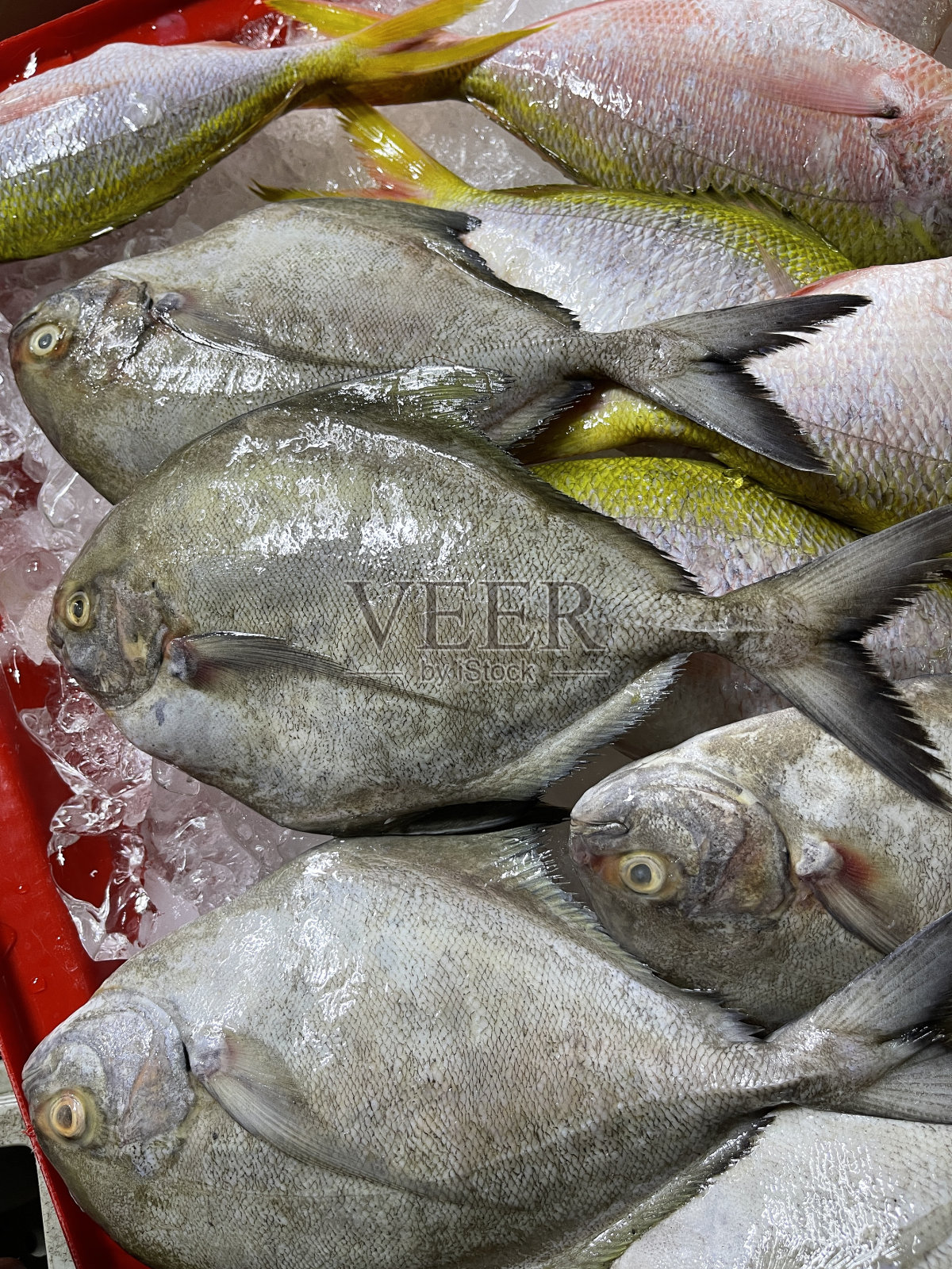 盘子上的白鲳鱼的俯视图照片摄影图片