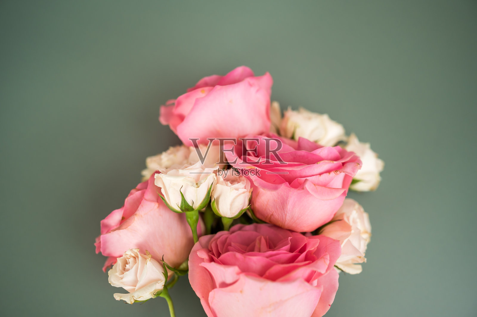 一束玫瑰照片摄影图片