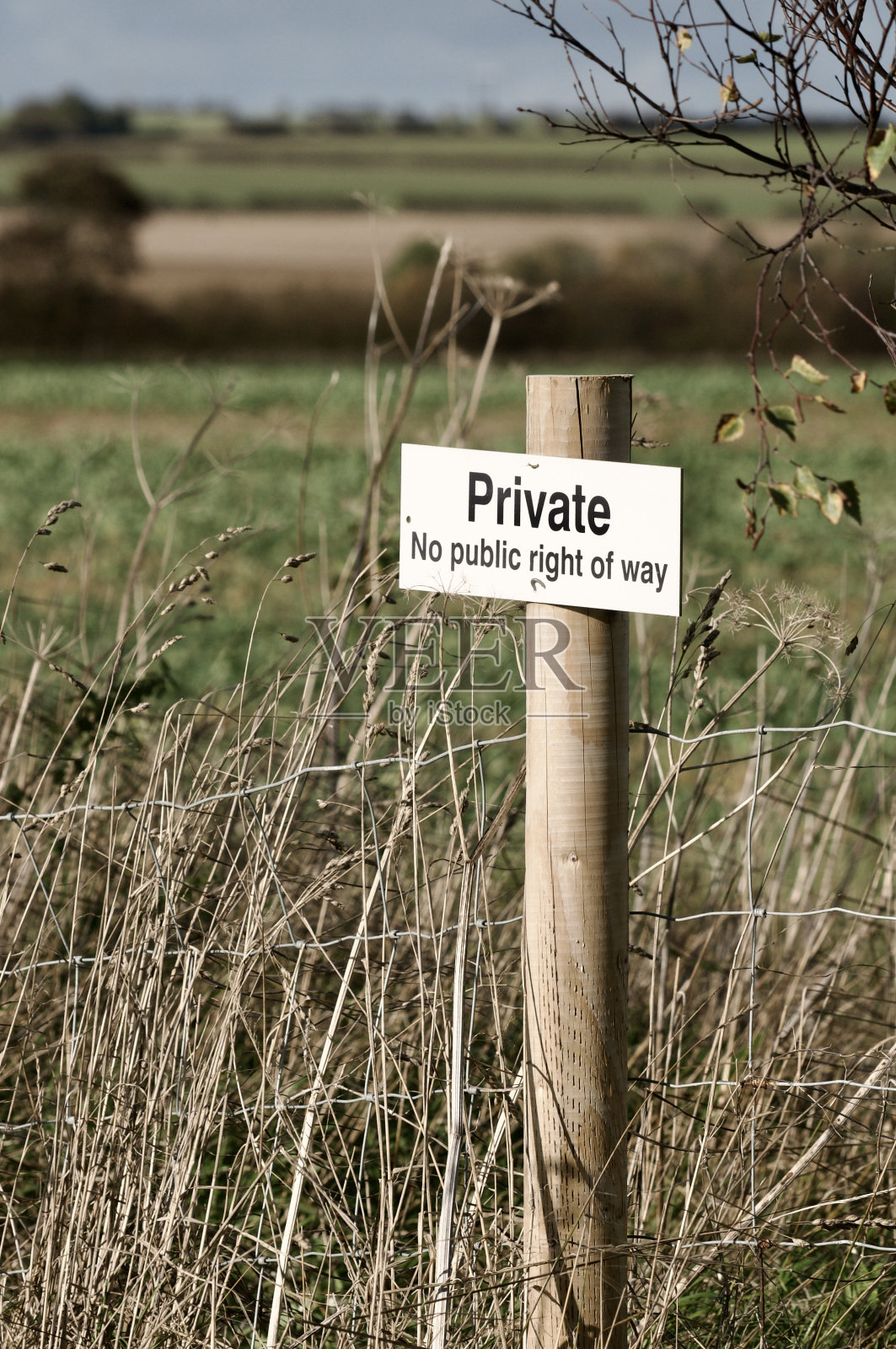 私人照片摄影图片