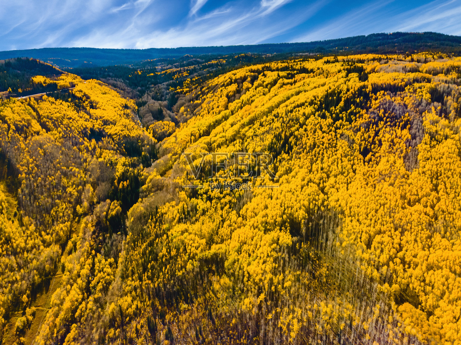 美国西部树木和国家公园景观和植被照片系列的鸟瞰图照片摄影图片