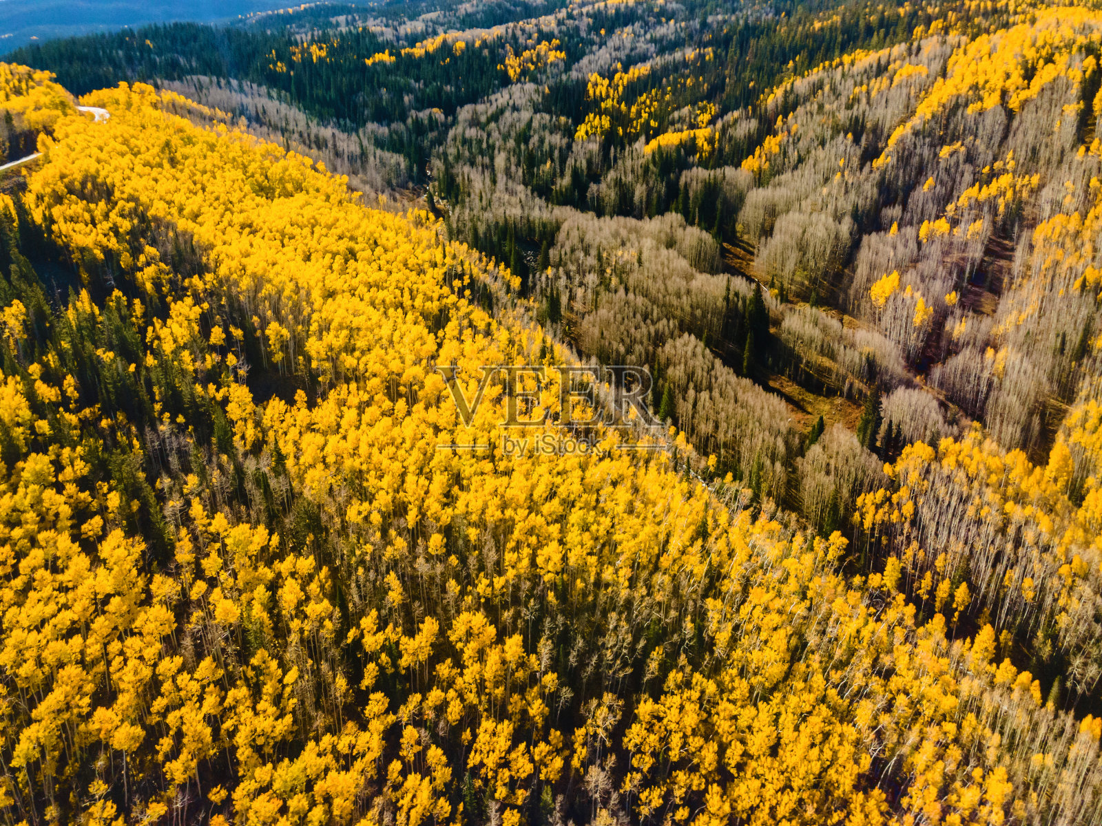 美国西部树木和国家公园景观和植被照片系列的鸟瞰图照片摄影图片