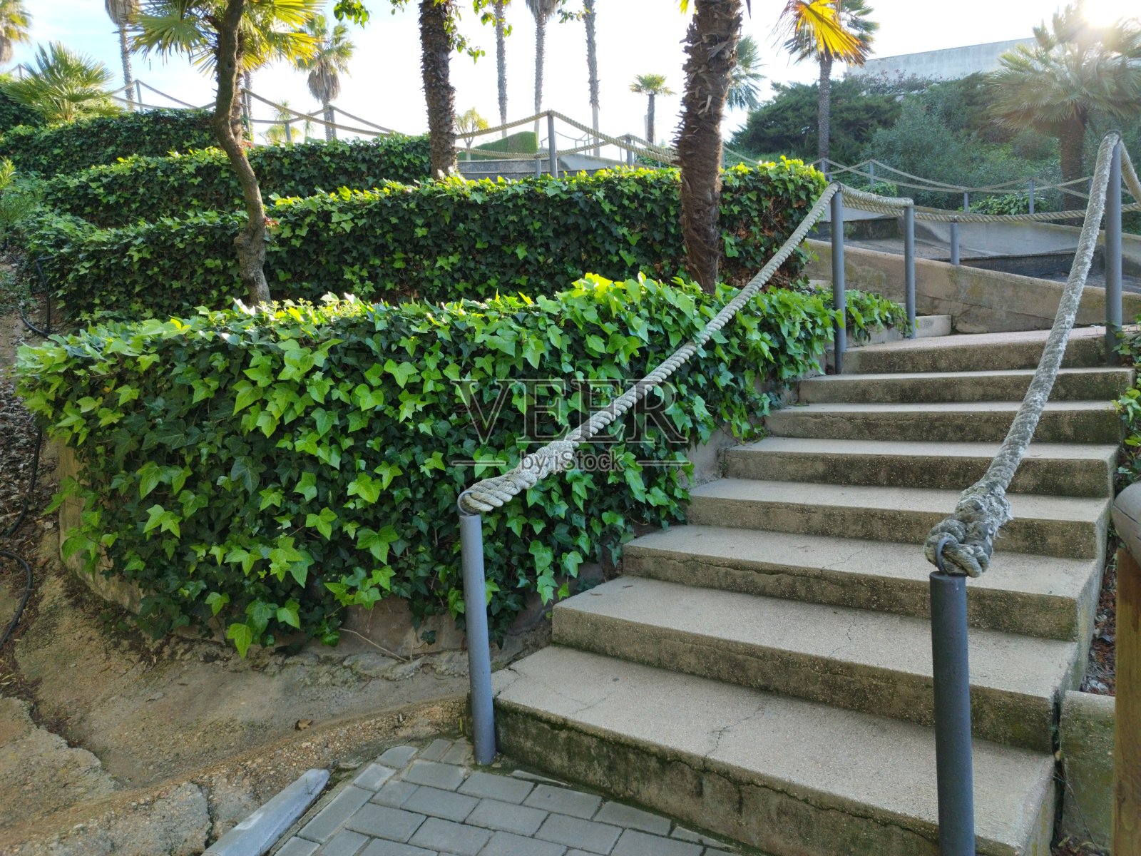 穿过树木和植物的公园照片摄影图片