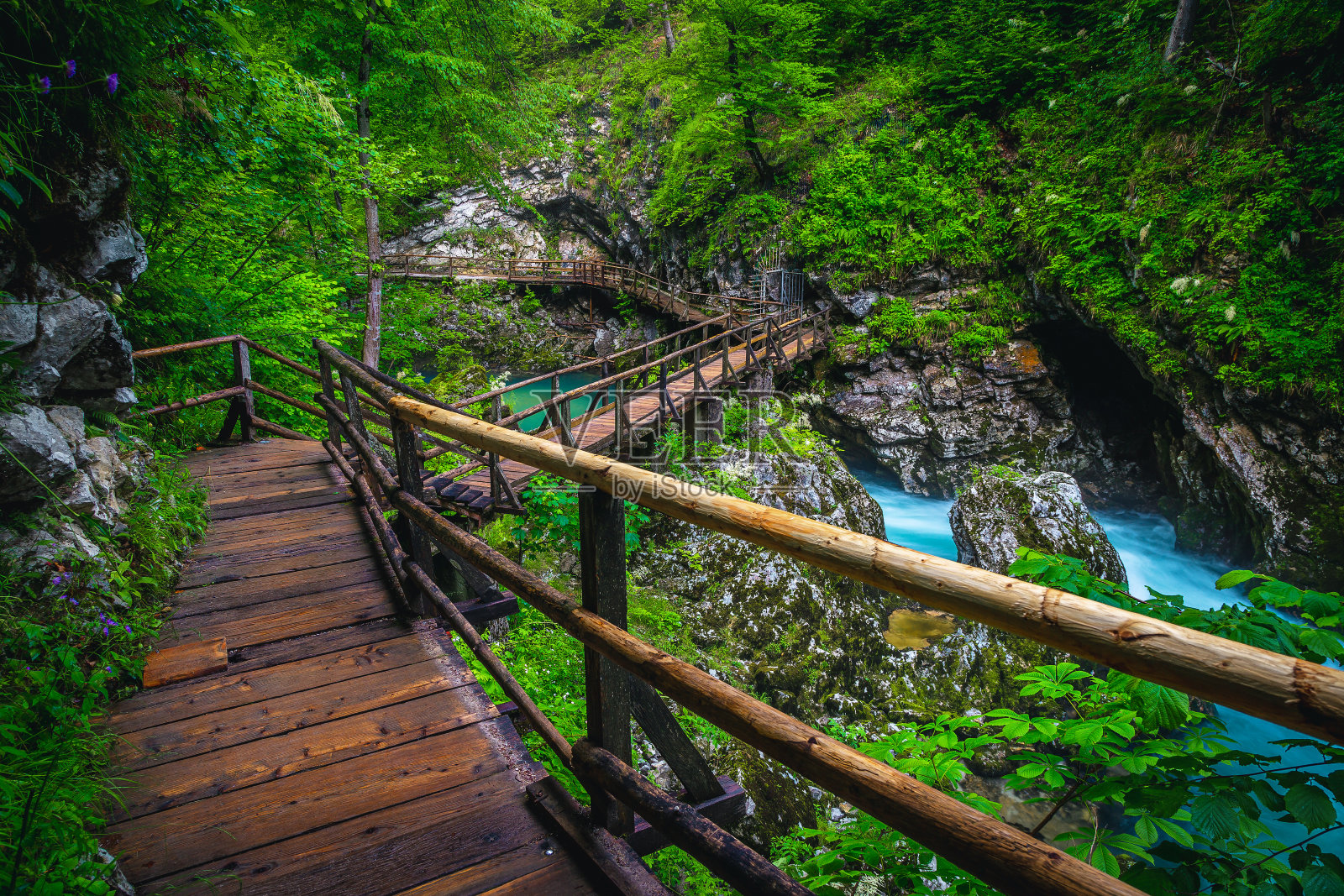 Vintgar峡谷里著名的徒步小径和Radovna河照片摄影图片