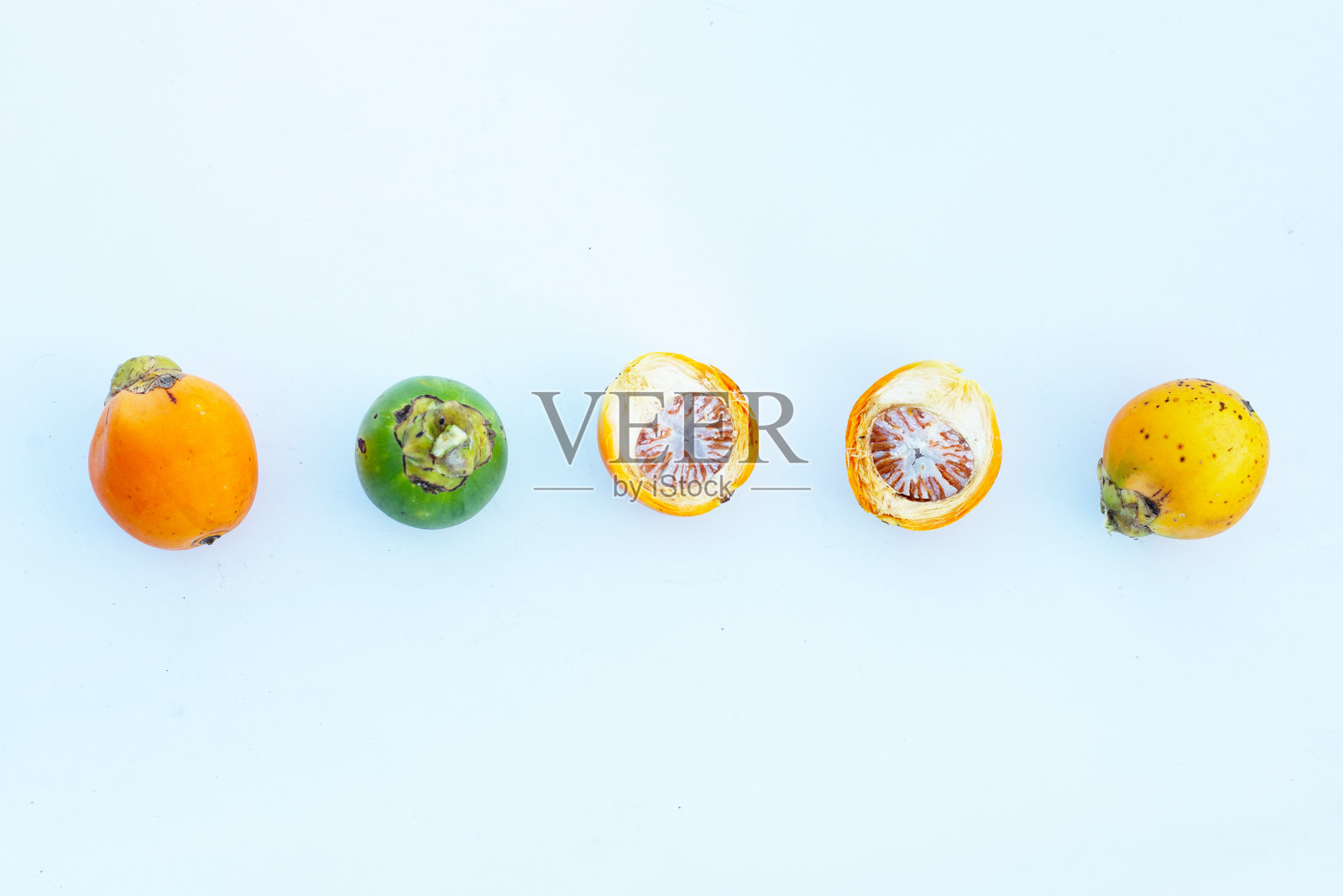 白底槟榔。照片摄影图片