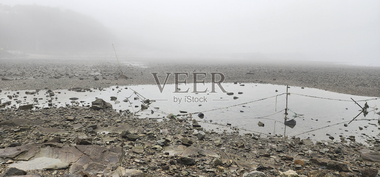 雾海照片摄影图片