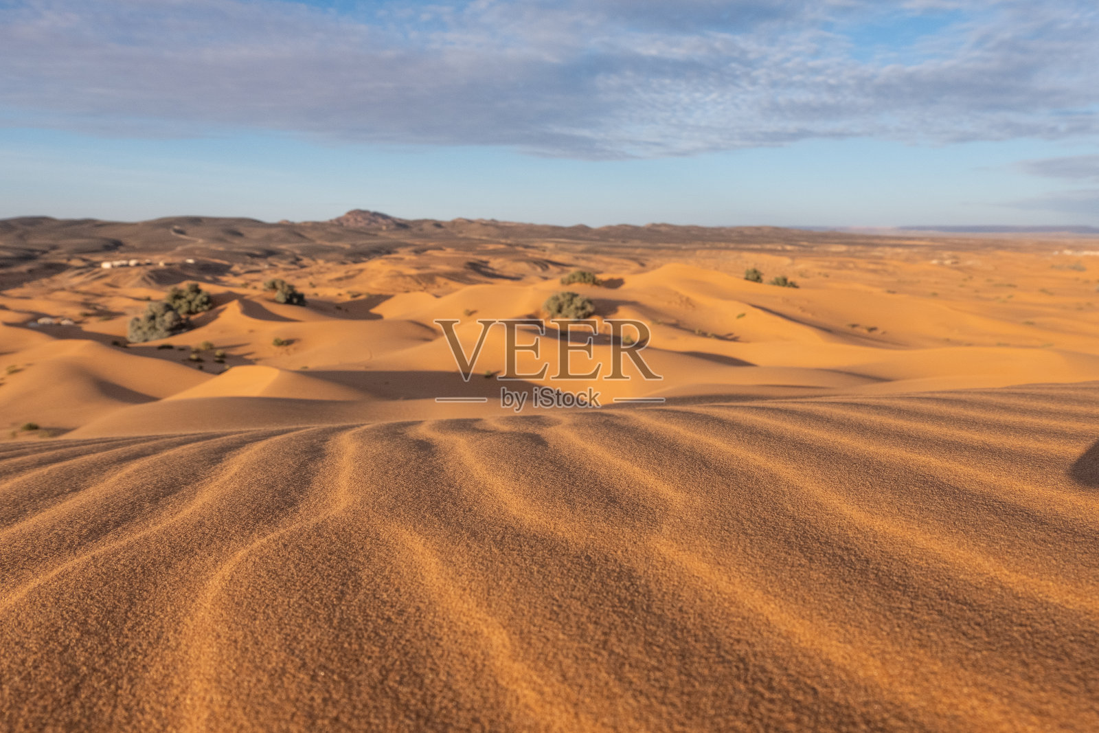 撒哈拉沙漠里美丽的沙丘。照片摄影图片