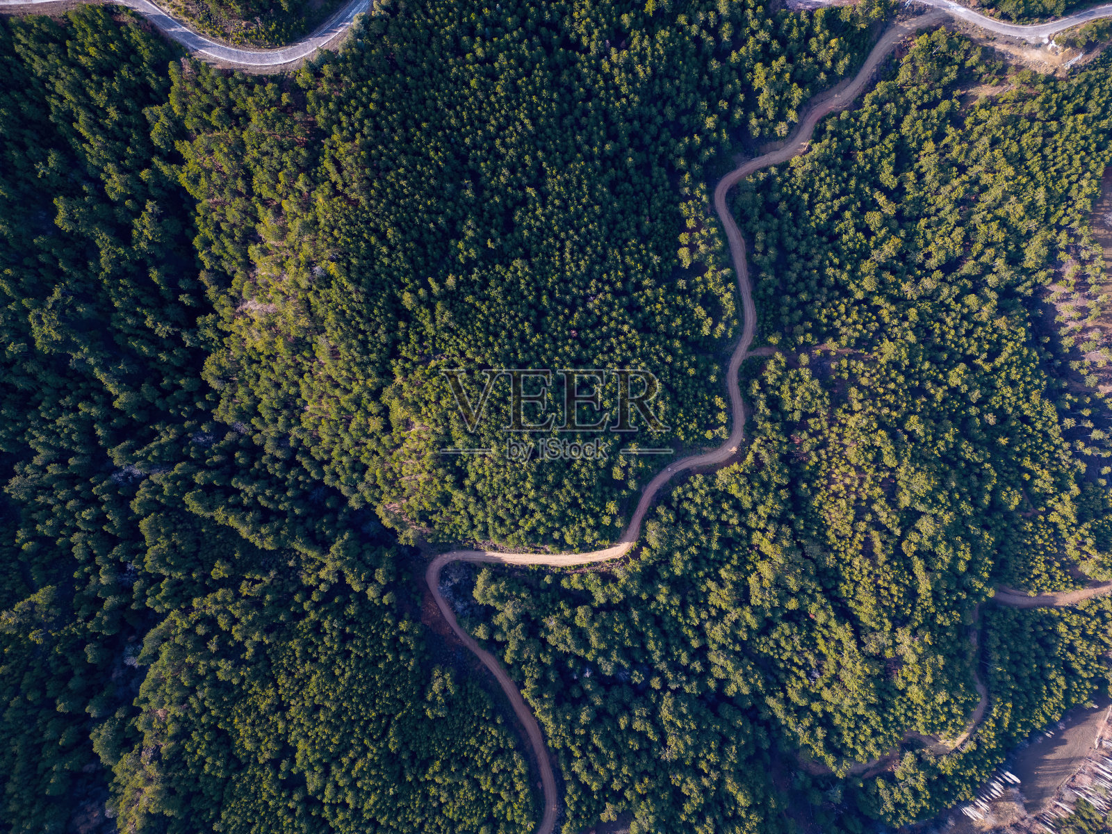 乡村道路鸟瞰图，穿过绿色的森林和山脉。照片摄影图片