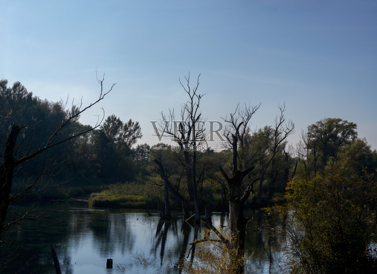 多瑙河和它的旧水照片摄影图片