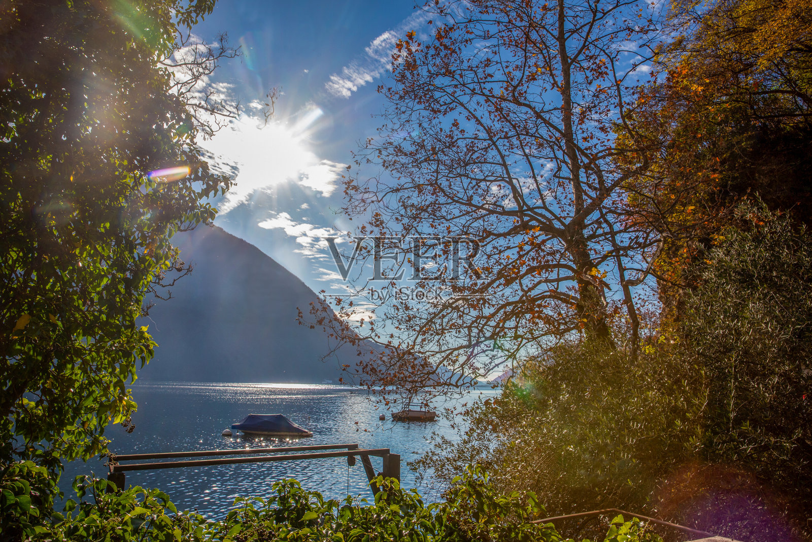 在卢加诺湖的树林中，在水中庇护船只照片摄影图片
