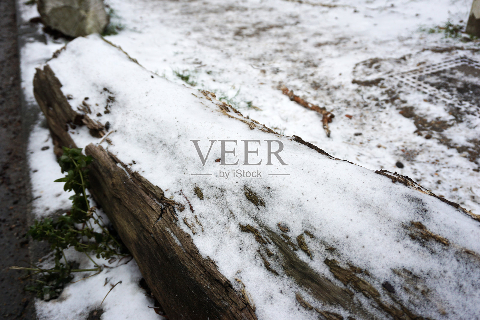 木头木板上覆盖着一堆雪照片摄影图片