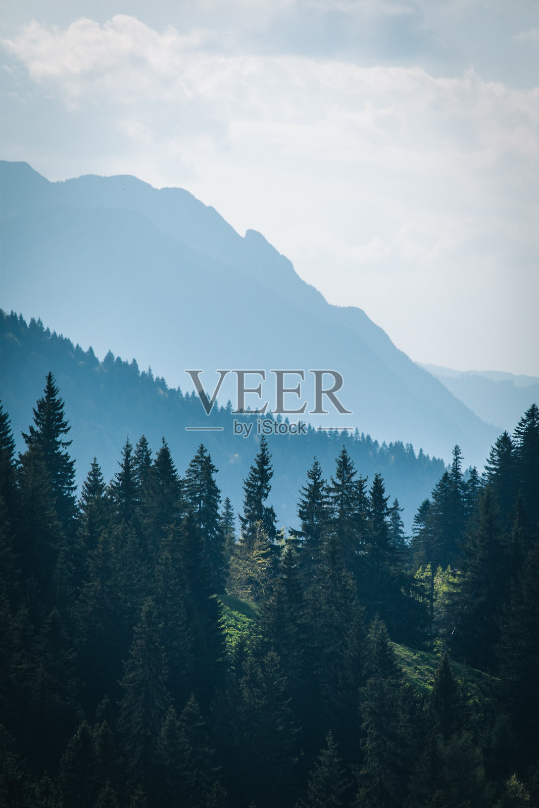 森林、山谷和山脉的高架视图照片摄影图片