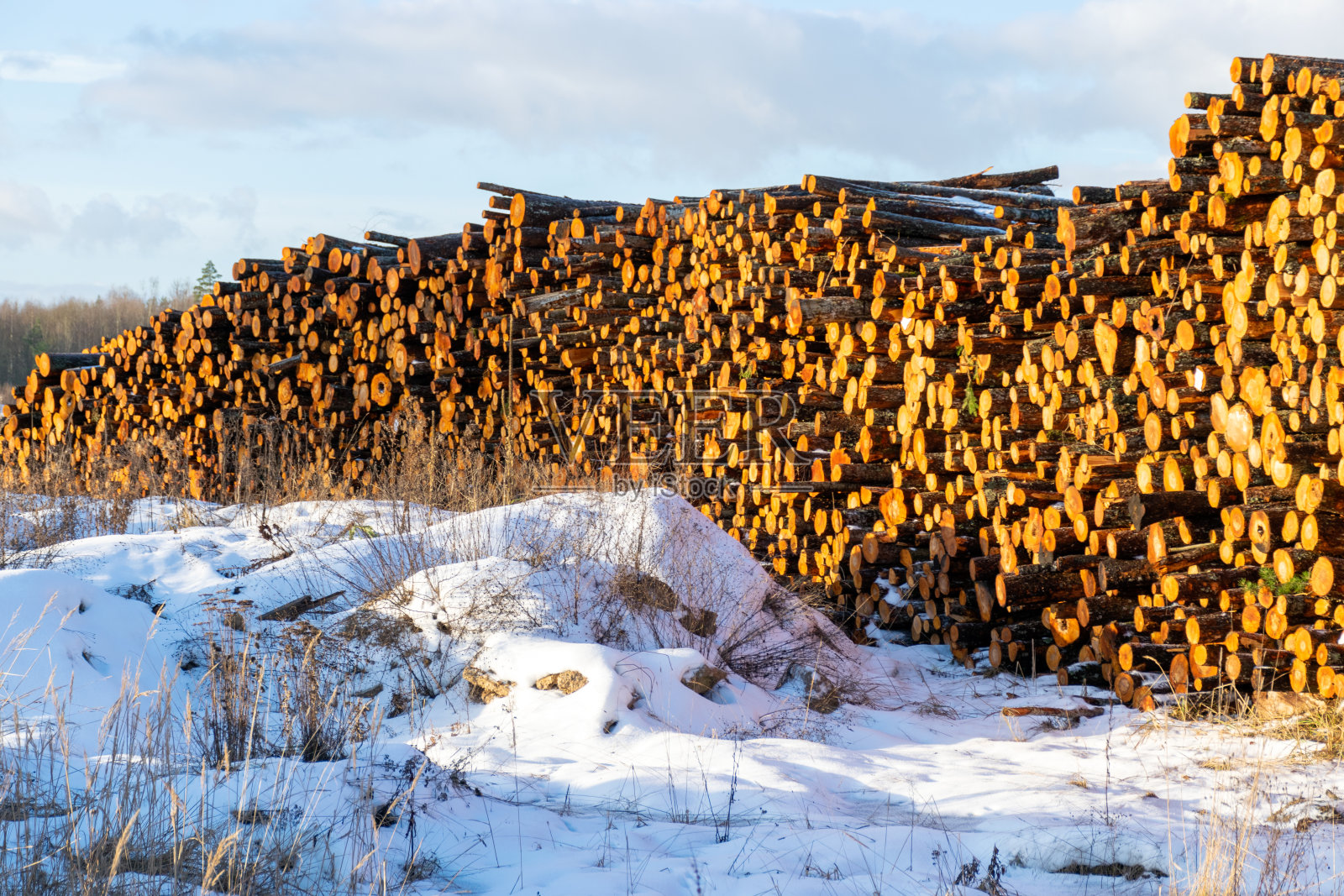 美丽多彩的柴火堆，堆积起来的原木运往港口，能源危机，家庭取暖的燃料照片摄影图片