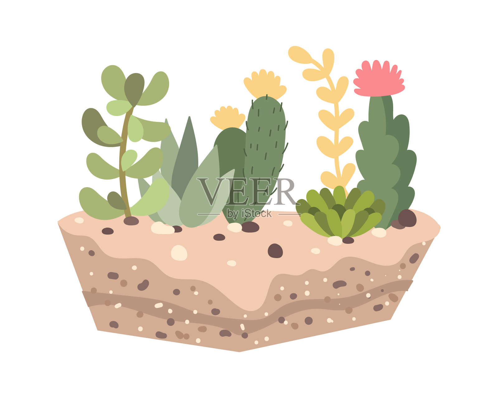 不同的装饰植物在土壤平面图标室内植物插画图片素材