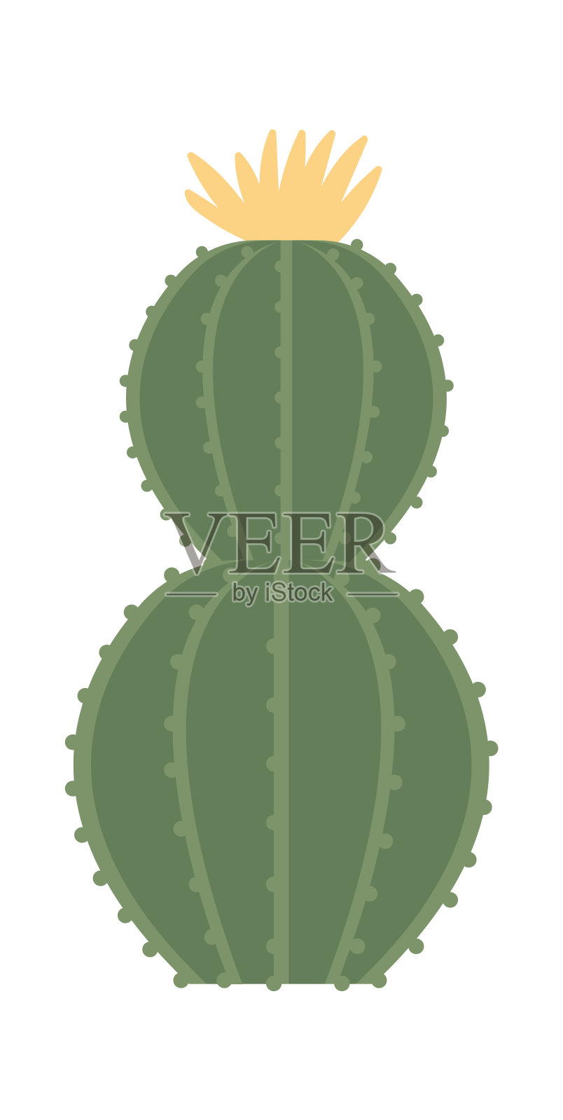 仙人掌扁平图标植物玻璃容器插画图片素材