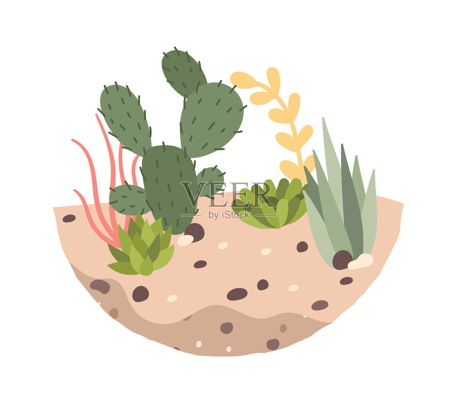 装饰仙人掌和多肉植物在土壤平面图标室内植物插画图片素材
