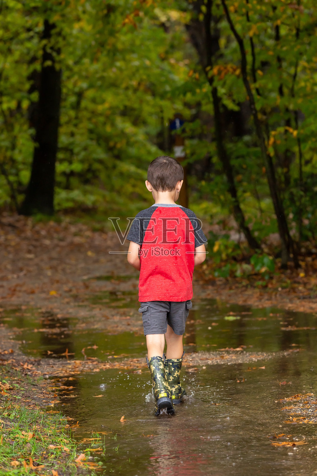 男孩在树林里的雨天穿过水坑照片摄影图片