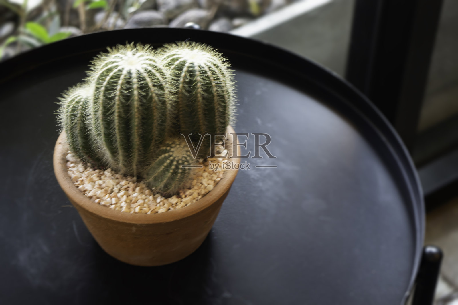 咖啡店或咖啡厅餐厅极简风格的内部照片摄影图片