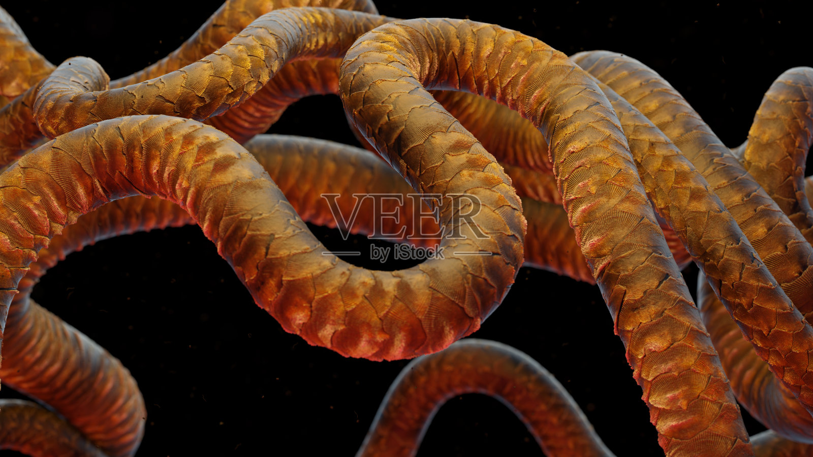 背景与外星微观蠕虫，抽象3d渲染照片摄影图片