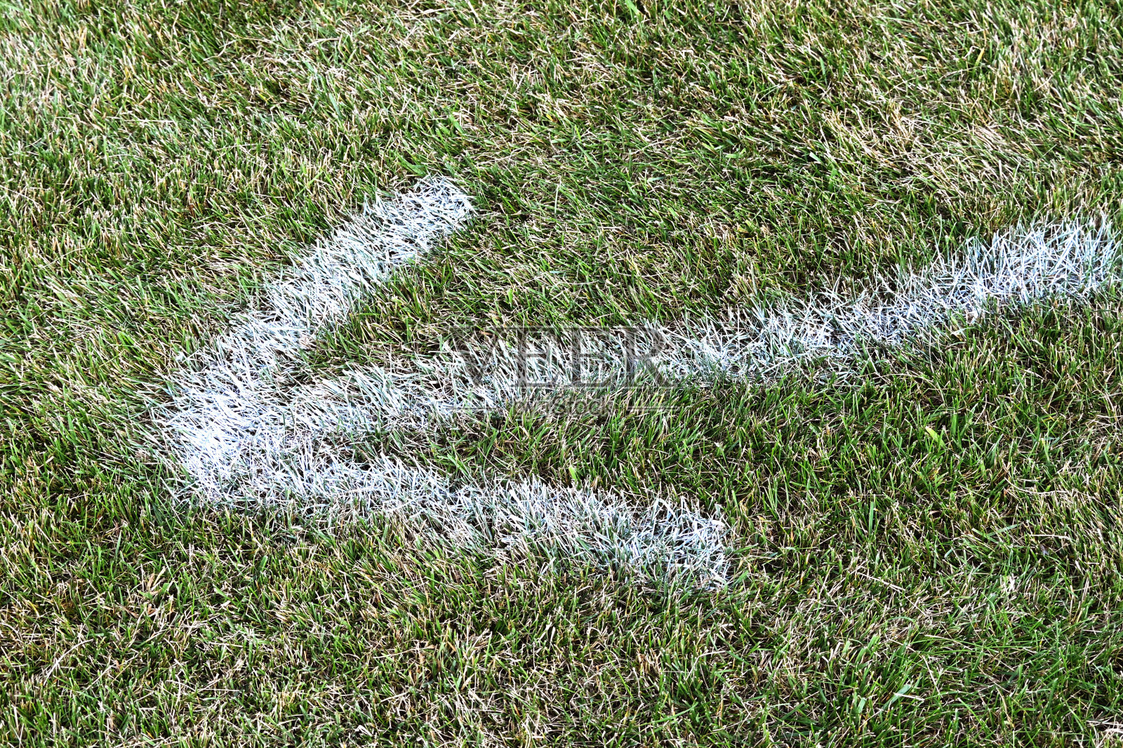 草地上的箭照片摄影图片