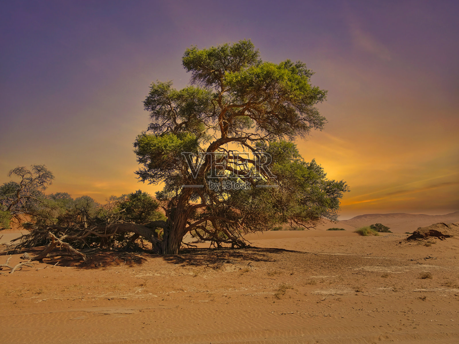 Sossusvlei in der Namib Wüste in Namibia照片摄影图片