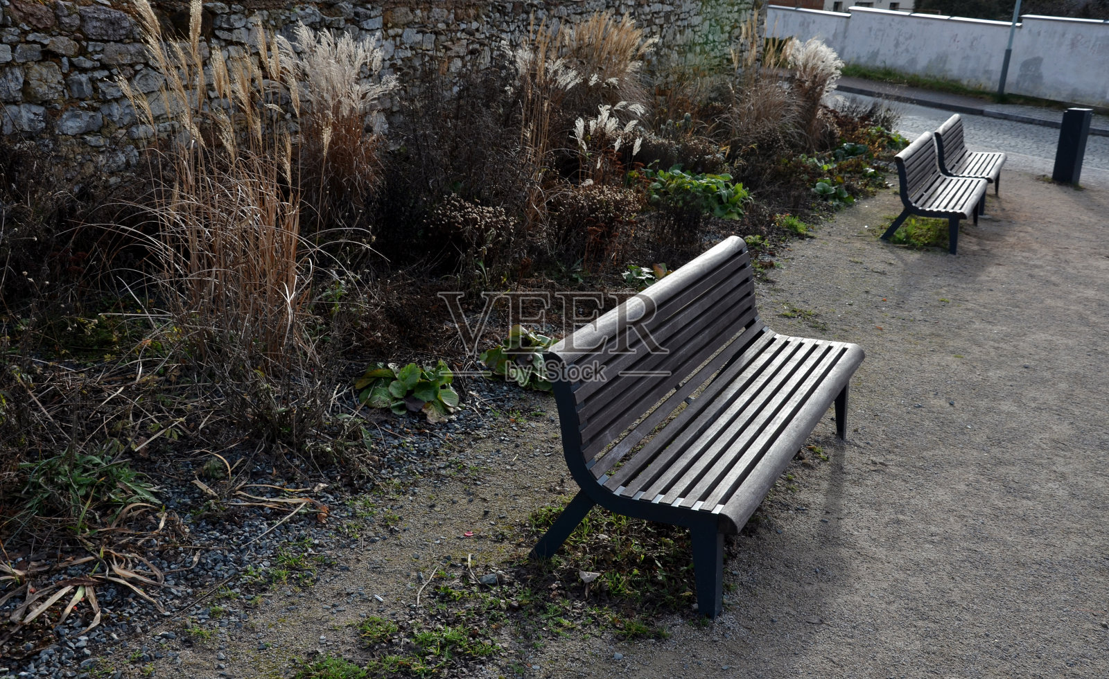 木长椅的镶板下面是一个矩形的混凝土防刮米黄色小径，游客的鞋子开花浪漫的花坛和石墙日本银草，照片摄影图片