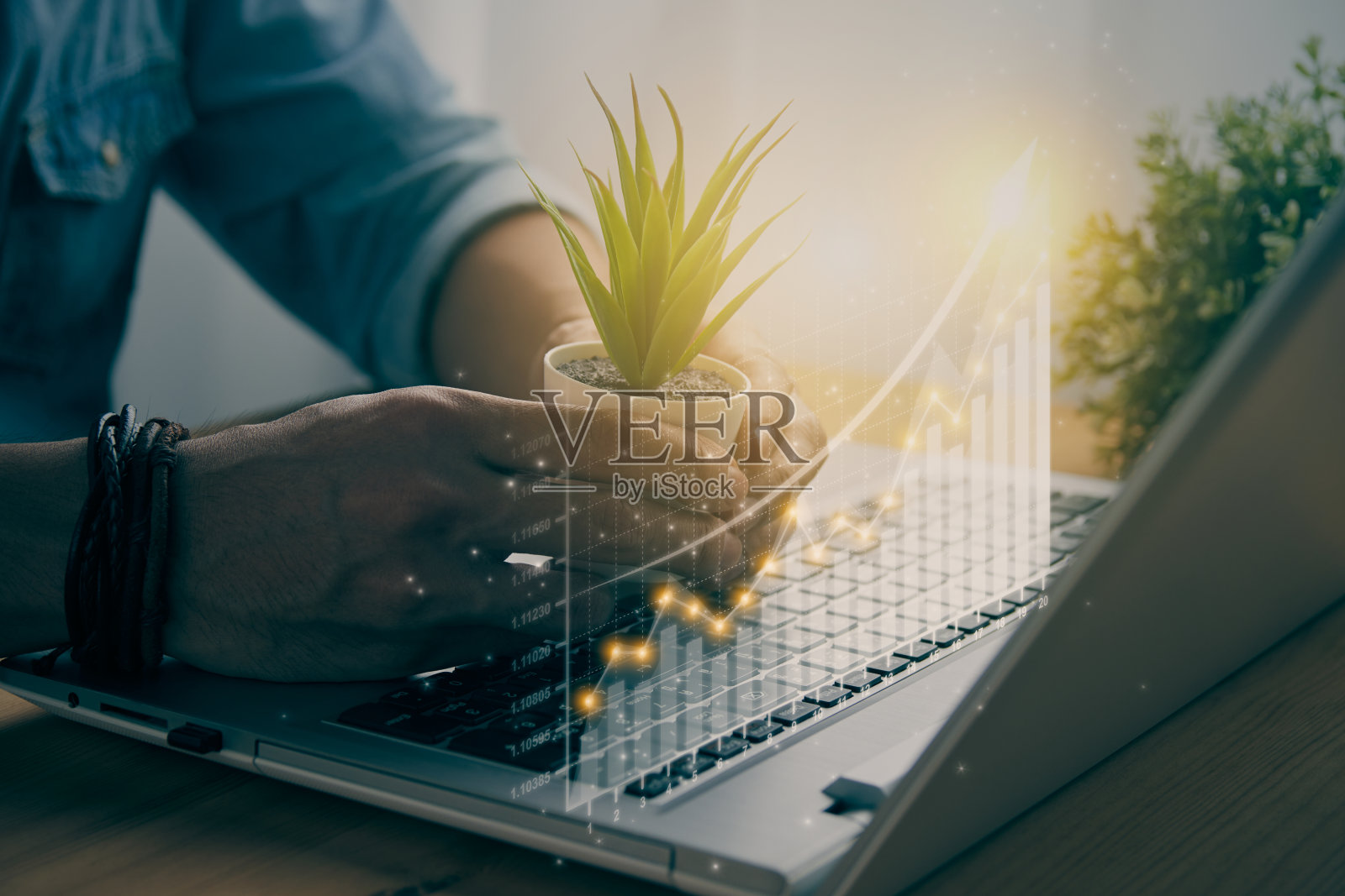 休闲商人手握树或办公室植物和图形和箭头的复古色调照片摄影图片