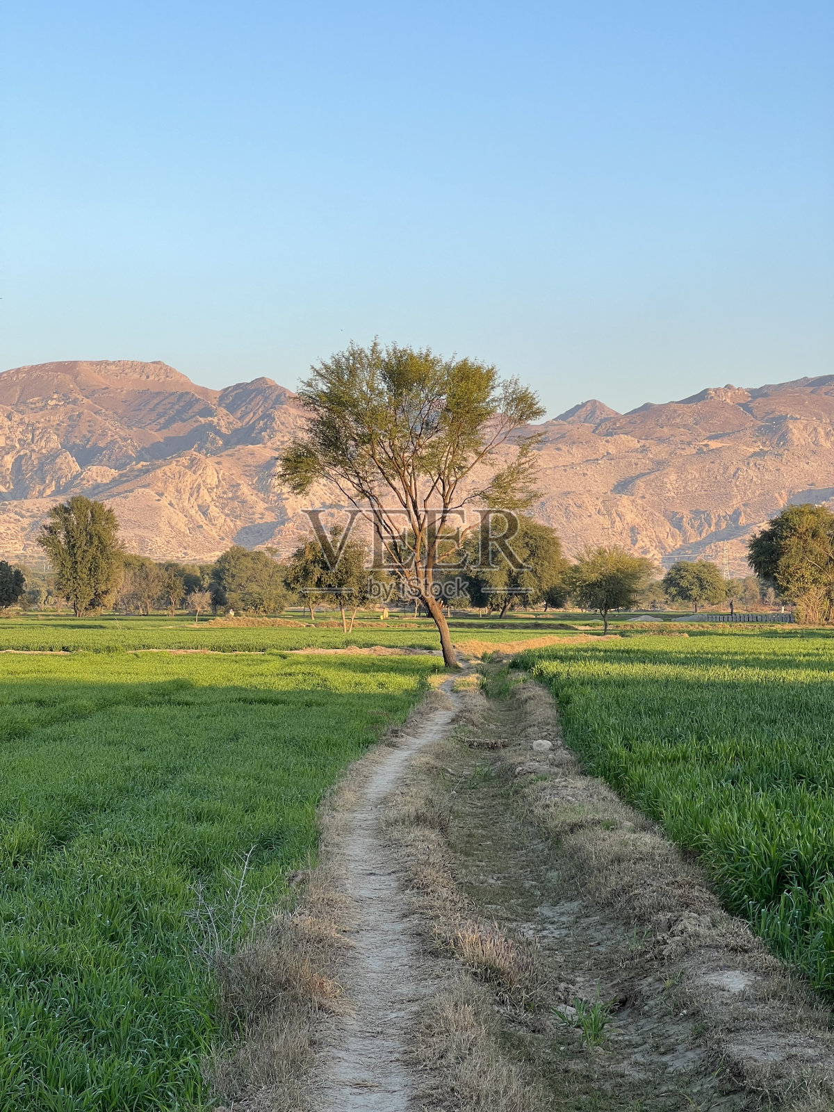 秋天的风景在山林之间照片摄影图片