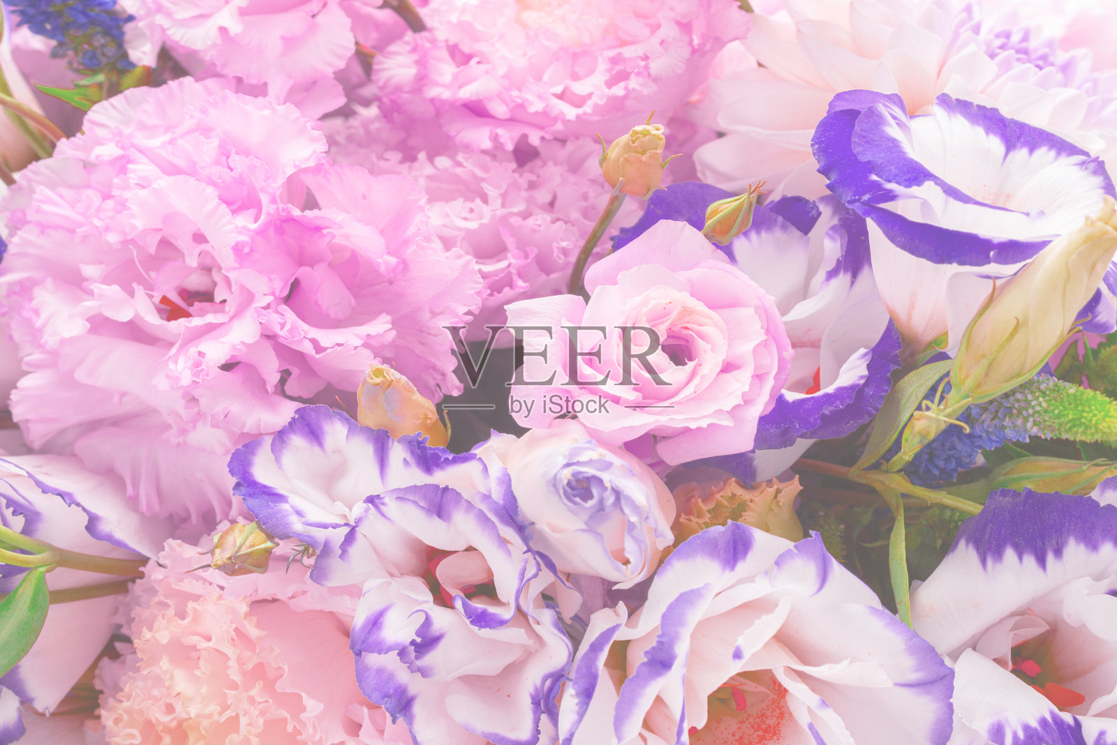 粉色和紫色的花束孤立在白色的粉色盒子里。照片摄影图片