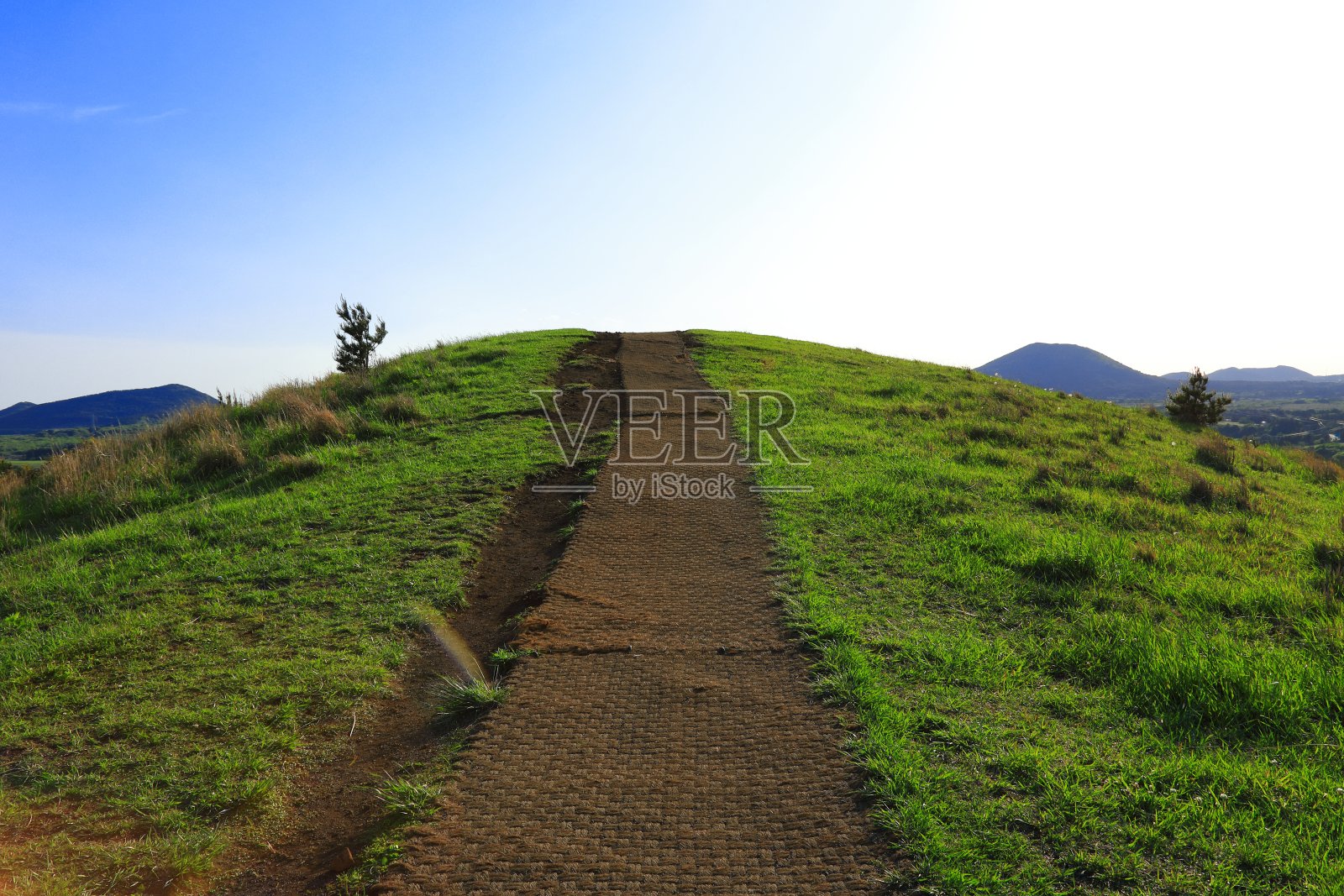 Yongnuni奥利姆照片摄影图片