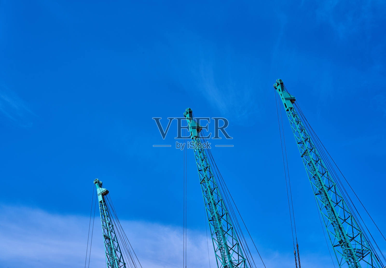 蓝天下的鹤照片摄影图片