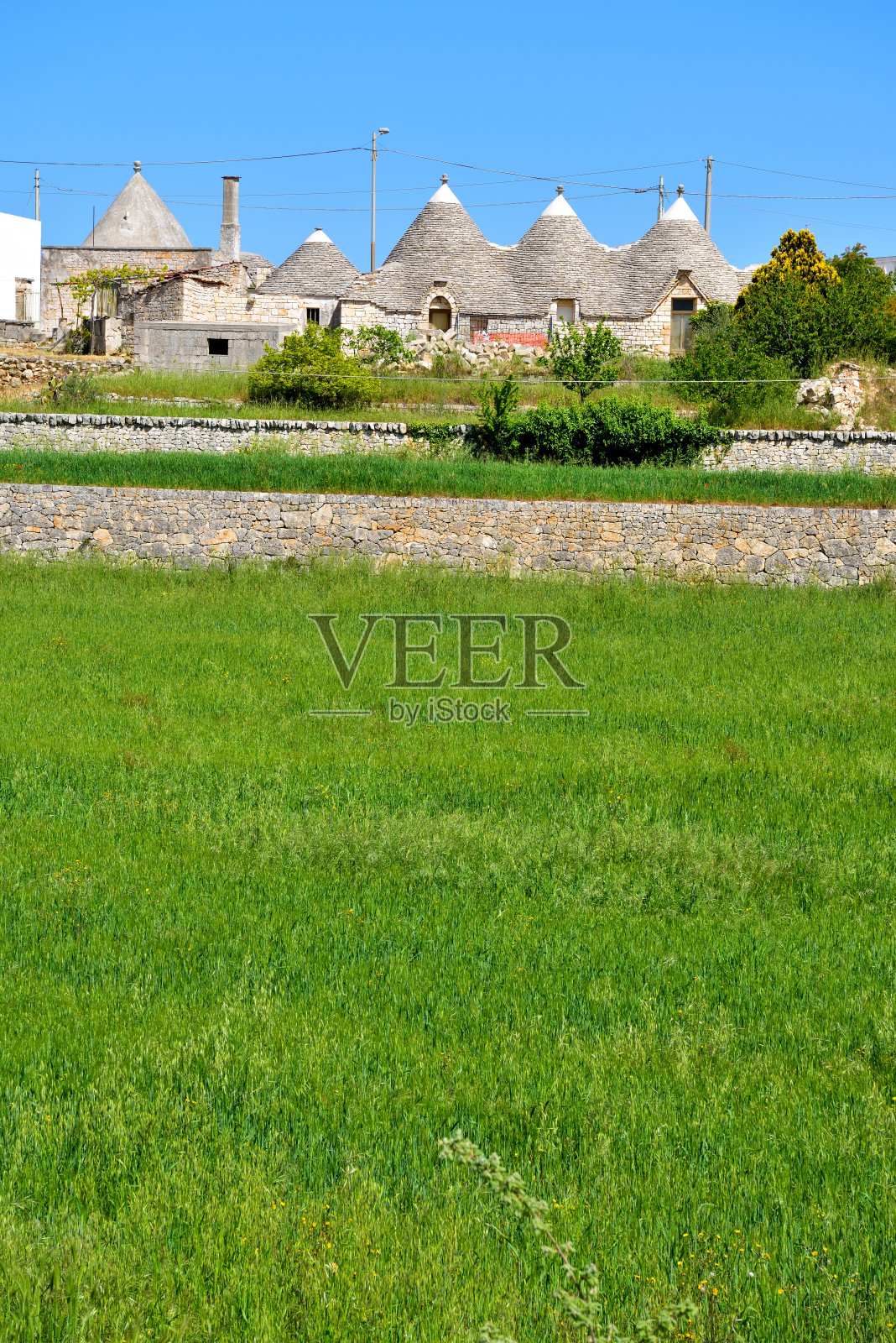 阿尔贝罗贝洛普利亚大区意大利照片摄影图片