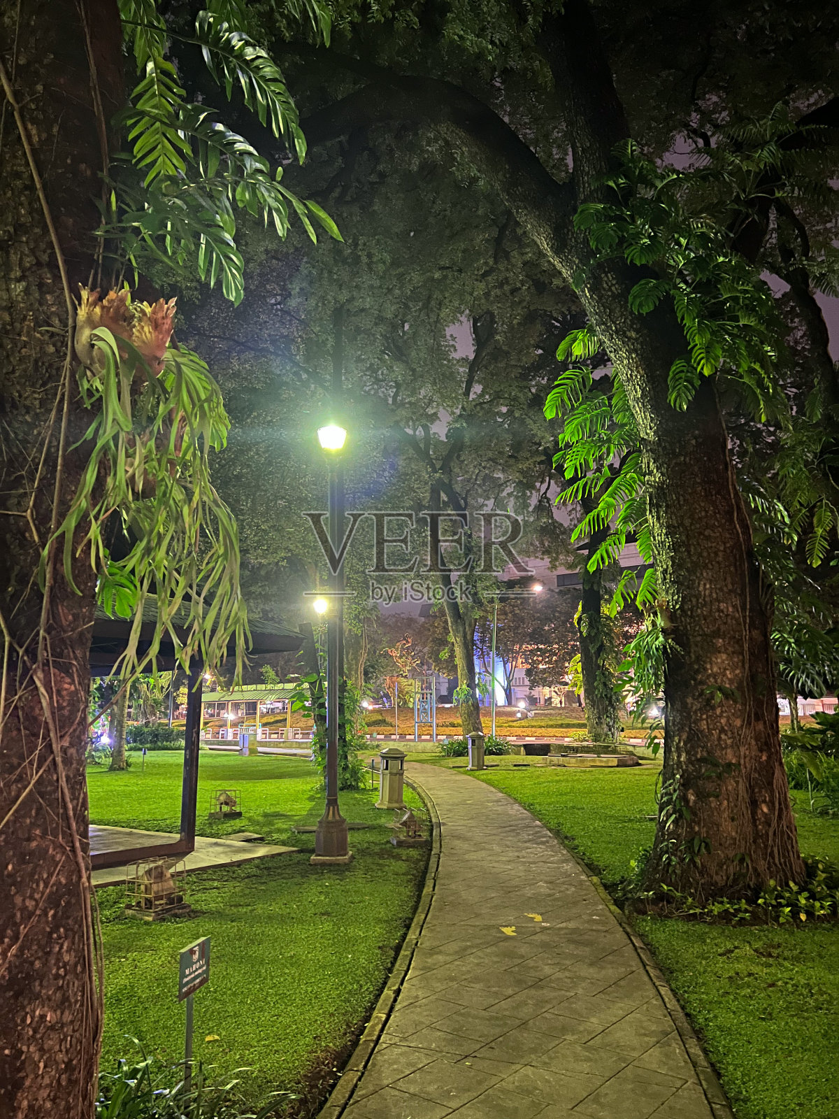 雅加达Suropati公园照片摄影图片