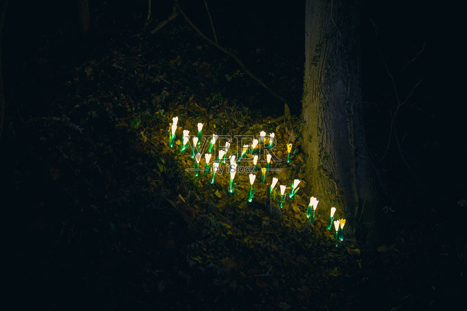 Leggiuno圣诞彩灯装饰照片摄影图片