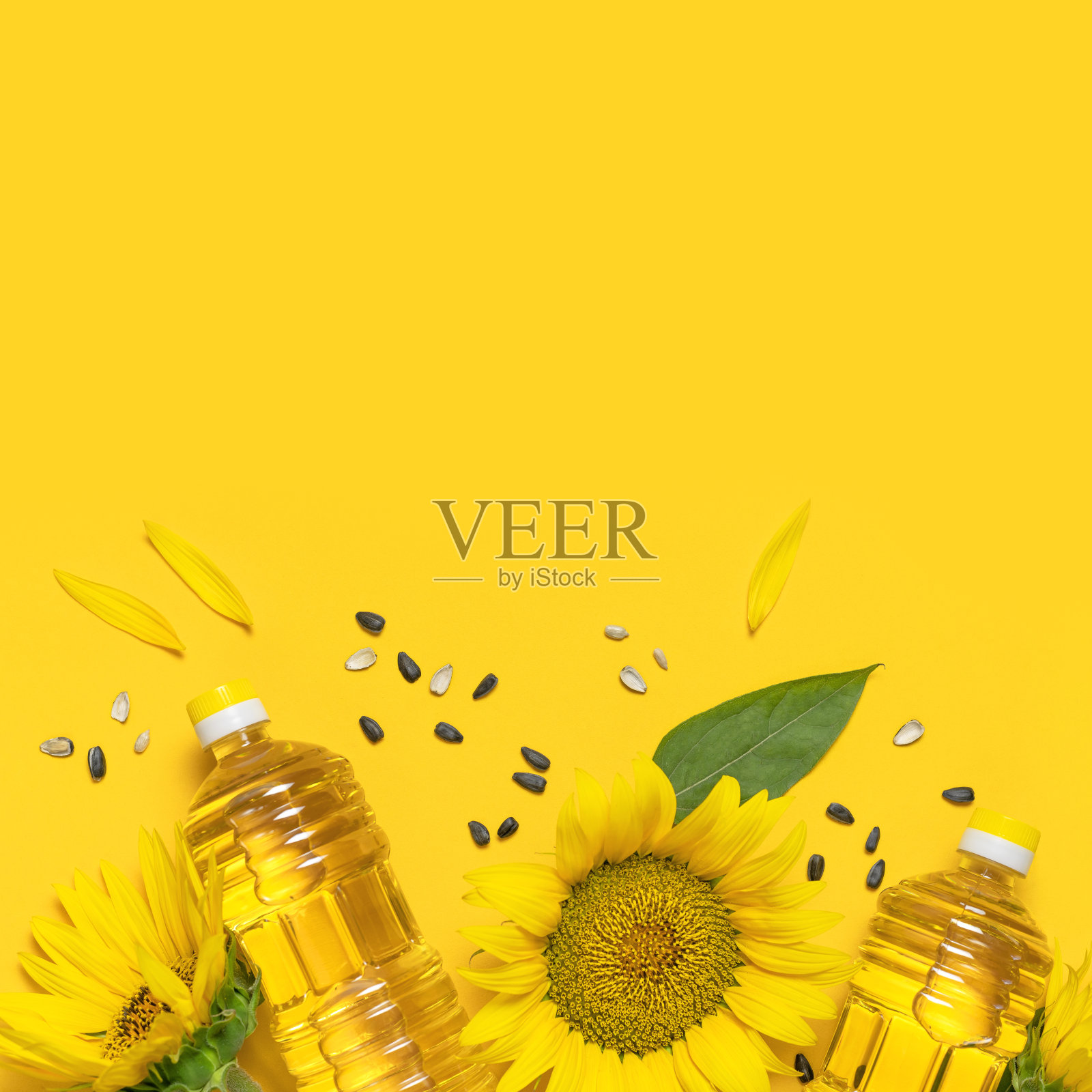 装有葵花籽油的塑料瓶，新鲜的黄色向日葵，黄色底色的葵花籽。平铺顶视图复制空间。收获季节，农业，农业，石油生产。健康的油、食物照片摄影图片