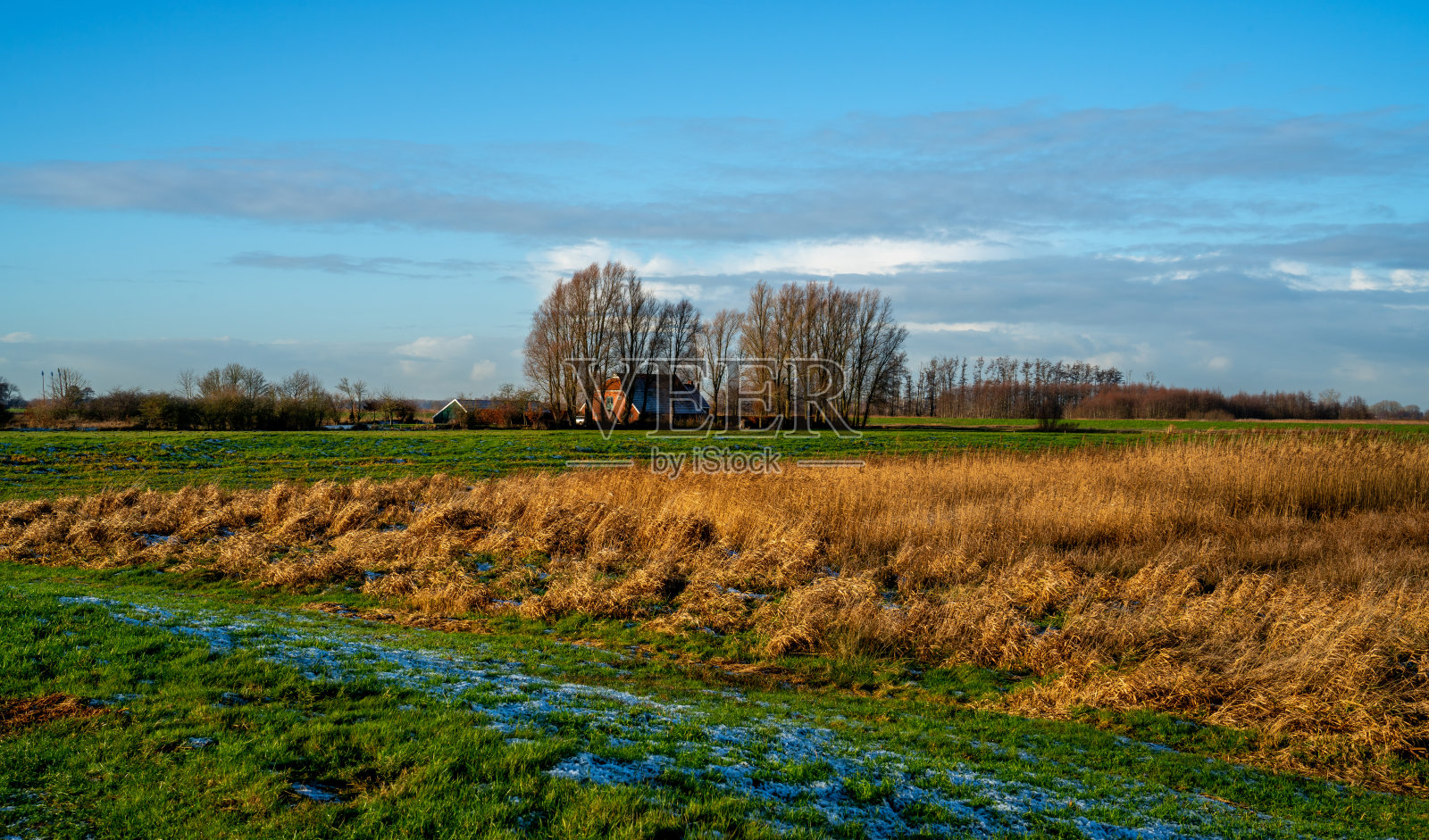 荷兰德伦特农村地区的冬季景观照片摄影图片