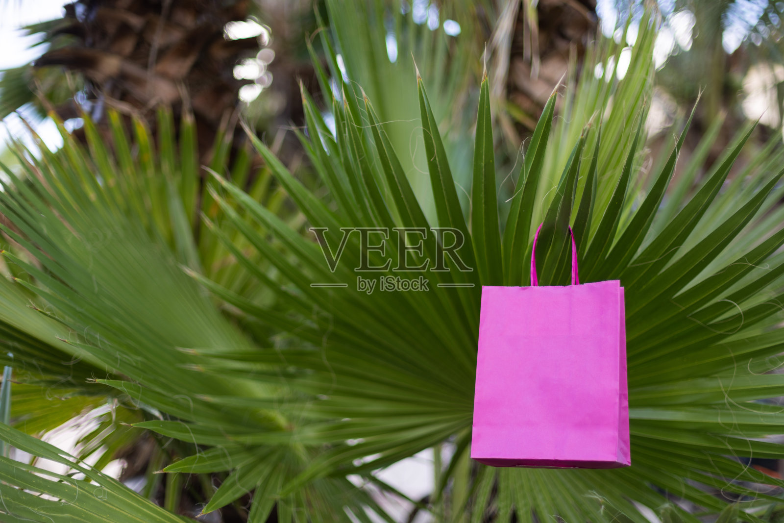 粉色纸袋放在手掌上。模型。照片摄影图片