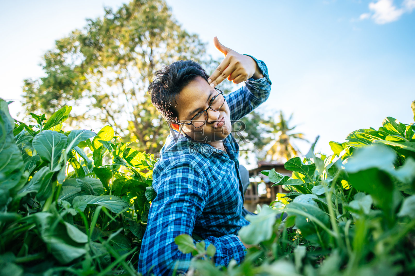 快乐的亚洲农民男子的肖像在田里工作。农业商业和生活方式概念。照片摄影图片