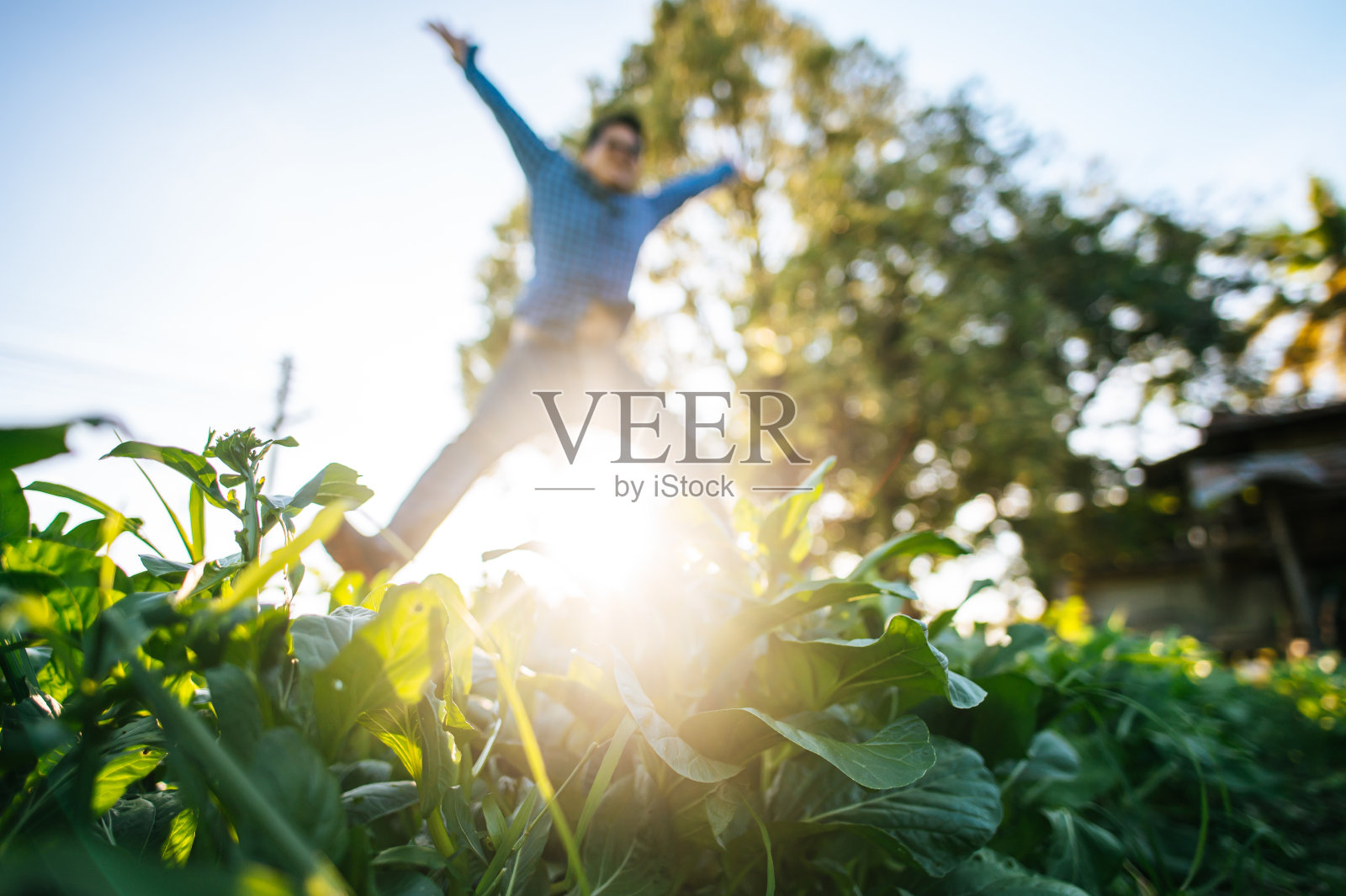 快乐的亚洲农民在绿色的田野上跳跃的快乐的肖像。农业商业、技术、传播和生活方式概念。照片摄影图片