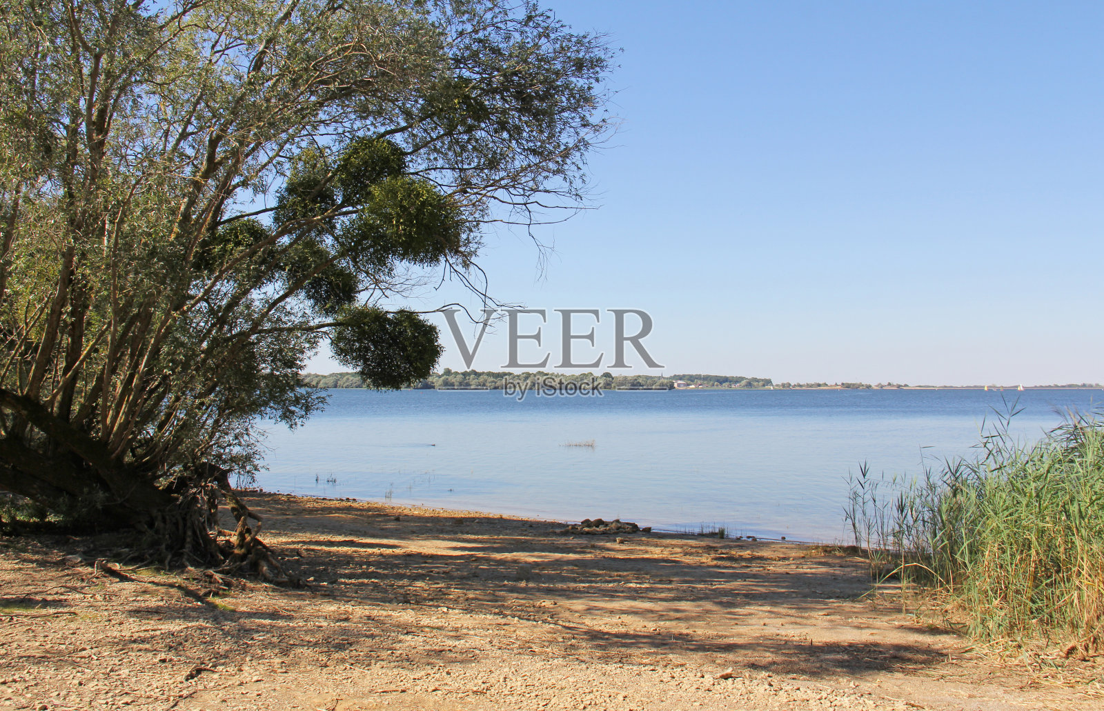 法国香槟酒大Est的香槟酒湖照片摄影图片