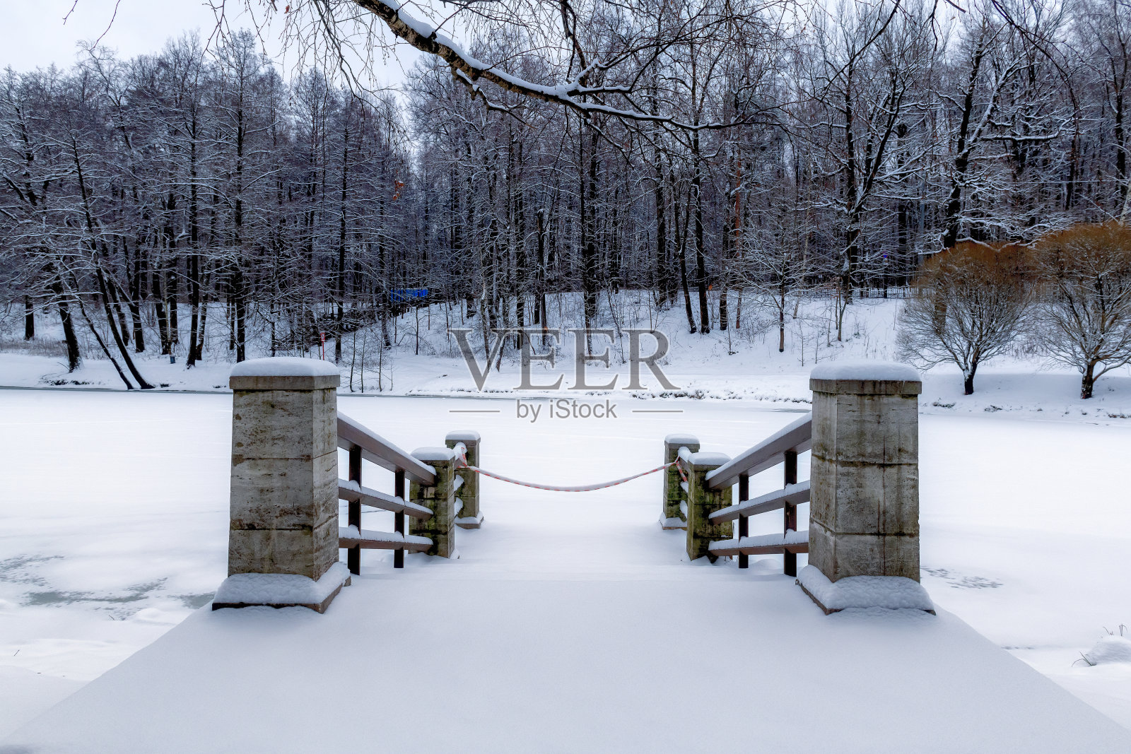 冬季码头在湖下的雪和雪林。照片摄影图片