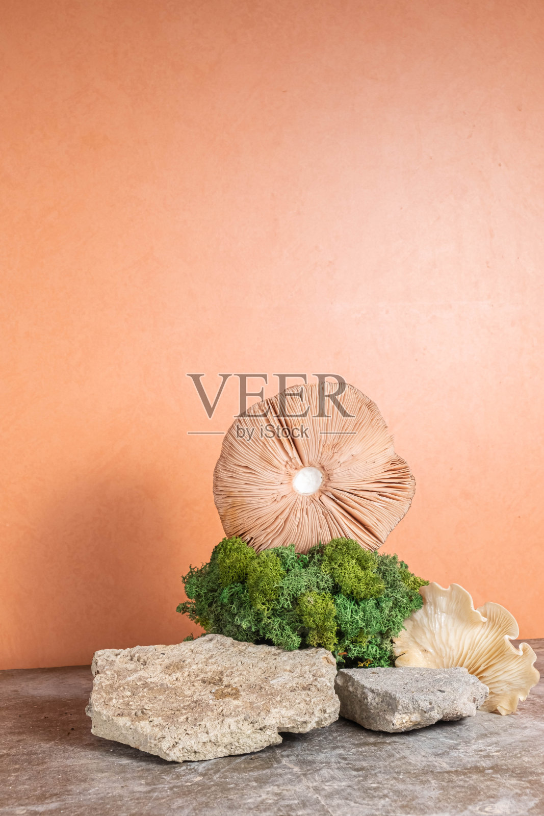 自然的风格。橙色背景上有绿色苔藓和蘑菇的石头讲台。静物为产品呈现。天然化妆品的模型。本空间照片摄影图片