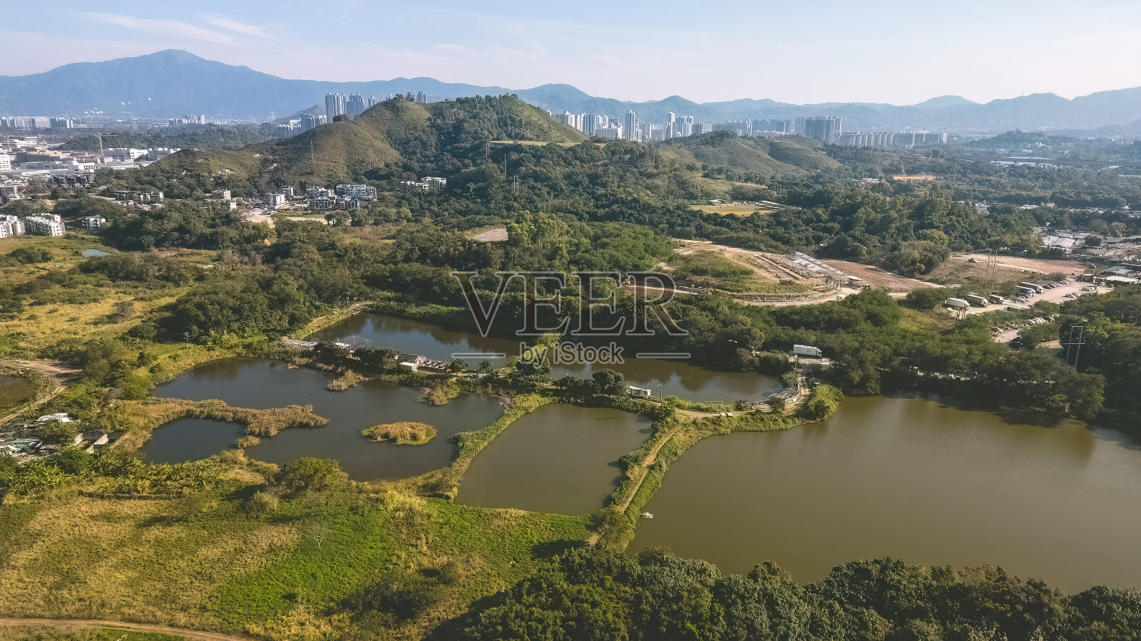 2023年1月6日凤乐围鱼塘景观照片摄影图片